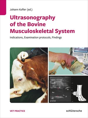 cover image of Ultrasonography of the Bovine Musculoskeletal System